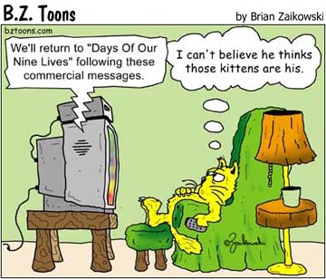 TV CAT