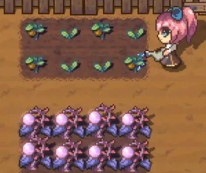 Sun Haven screenshot